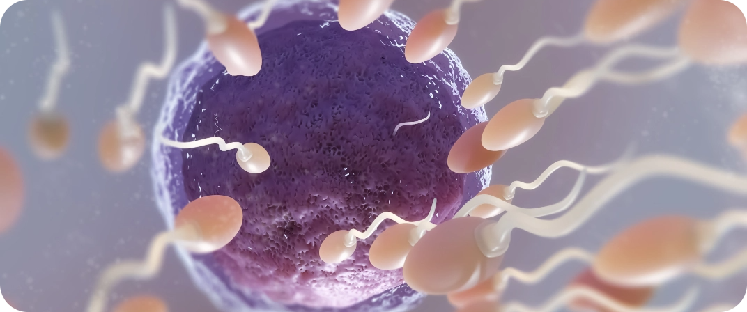 Navigating Options and Preserving Hope