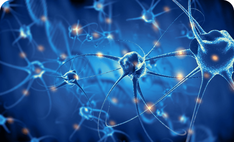 Brain and central nervous system tumors